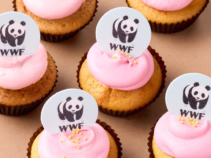 Cupcakes personnalisés