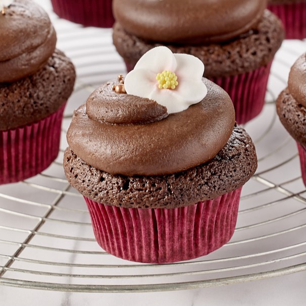 Cupcakes Chocolat sans gluten
