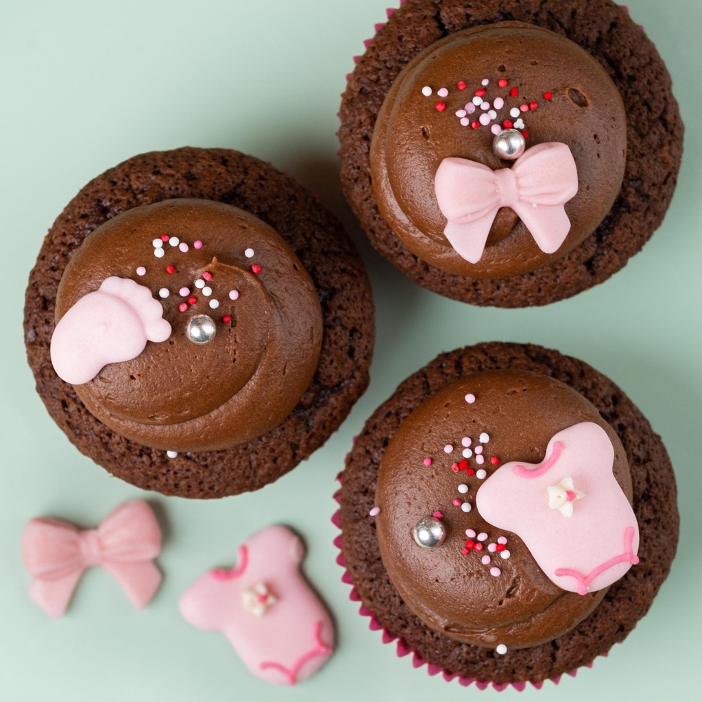 10 Mini Cupcakes All Chocolate Baby Shower Pink