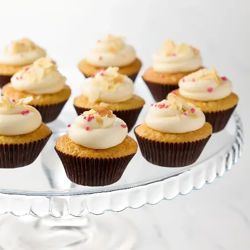 10 Minis Cupcakes Jane